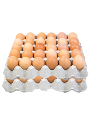 Fresh Eggs