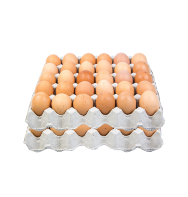 Fresh Eggs